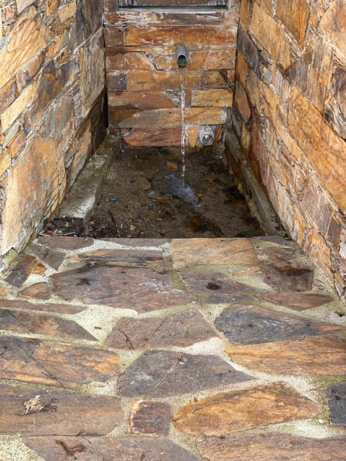 Isabel House Alojamento Rural パンピリョーザ・ダ・セーラ エクステリア 写真